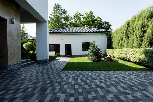 Revitalize Your Garden: Unusual Fertilizer Options